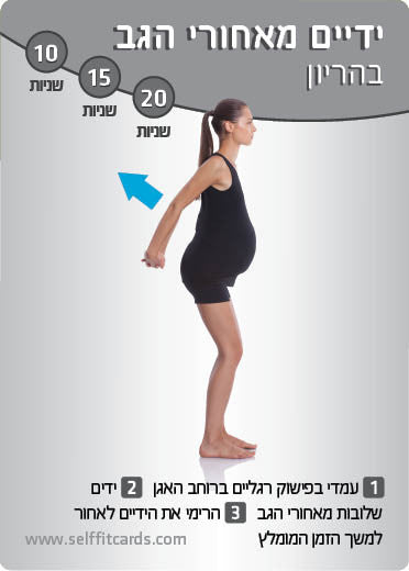 איזון הגוף